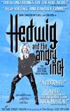  Hedwig and the angry inch