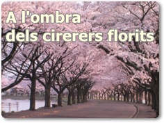 A l'ombra dels cirerers florits