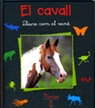  El Cavall, lliure com el vent