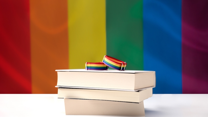Lgtbi a la literatura