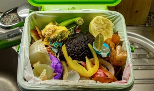 Imatge del contingut El malbaratament dels aliments