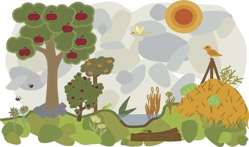 Imatge del contingut Permacultura, una filosofia de vida sostenible