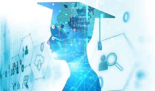 Docència i vida universitària