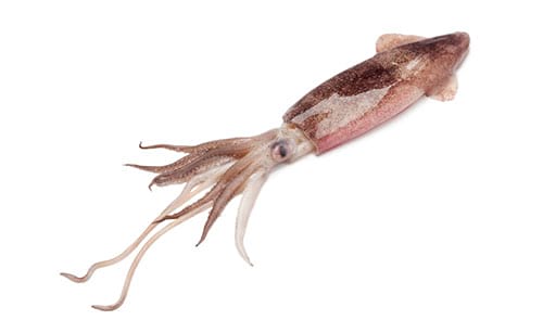 © PicturePartners / iStock.com