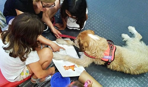 foto: Biblioteca Jordi Rubió i Balaguer