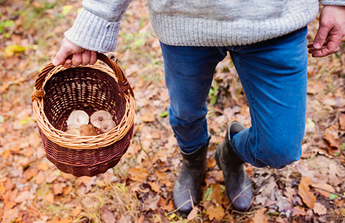 iStock.com / Halfpoint