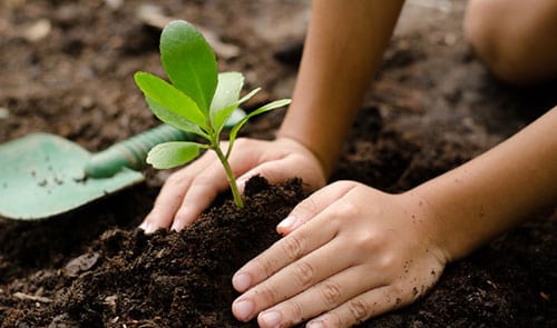 istock.com / Singkham