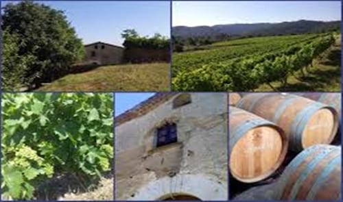 Can Calopa de Dalt. L'Olivera Cooperativa