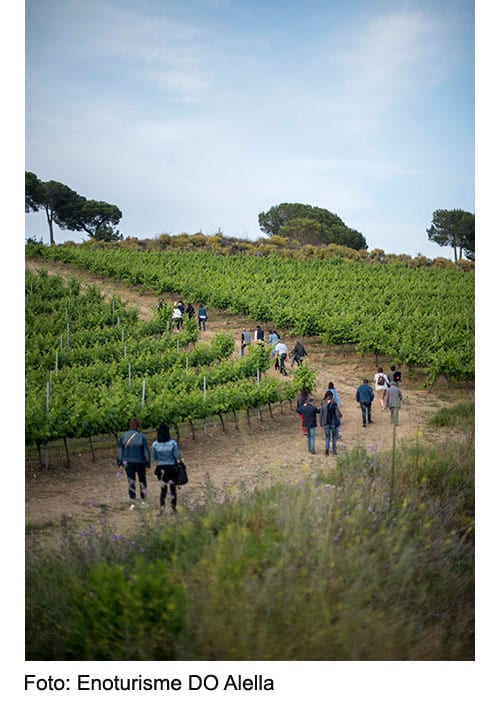  © Enoturisme DO Alella