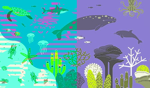 © Mohammed Elnour y Patrick George