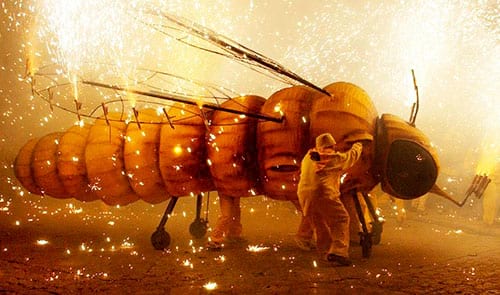 Festa de la Fil·loxera (Sant Sadurní d'Anoia)