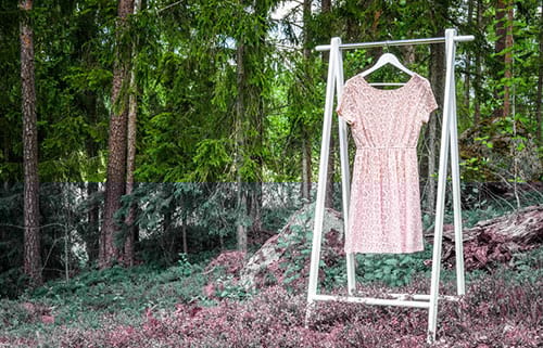 © Björn Forenius / iStock.com