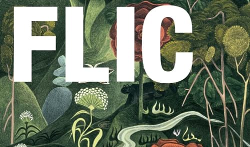 Les recomanacions del Flic 2019