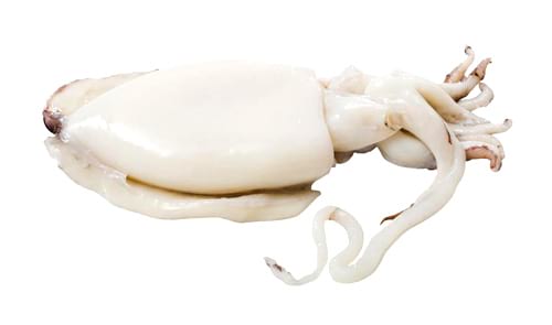 © JackF/ iStock.com