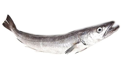 © EddWestmacott / iStock.com