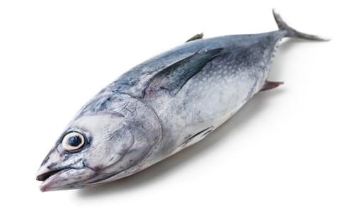 © antpkr / iStock.com