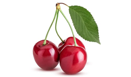 © Olga Guchek / iStock.com