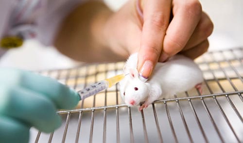 vkovalcik / istock.com