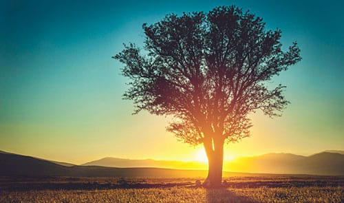 © Circle Creative Studio / iStock