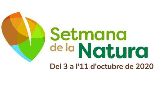 © Circle Creative Studio / iStock