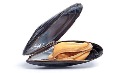 © PicturePartners / iStock.com