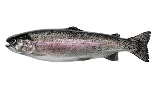 © OxfordSquare / iStock.com