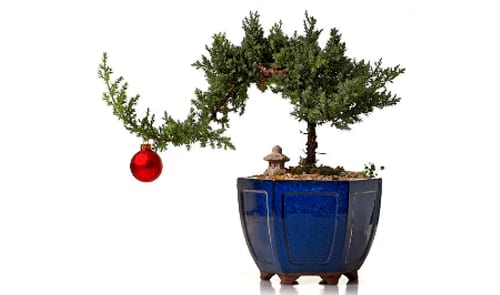 © THEPALMER / iStock