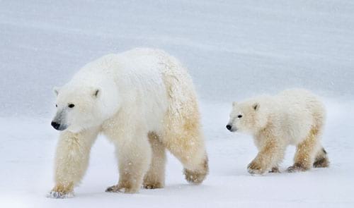 © SBTheGreenMan / istock.com