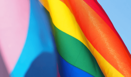 Bibliografia LGTBIQ+