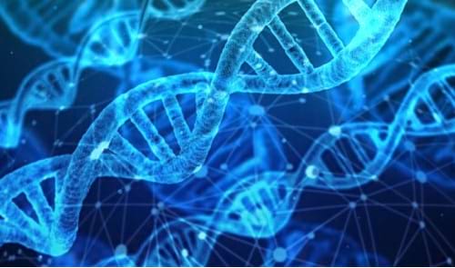 Genòmica i biodiversitat