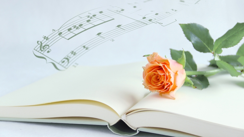 Imatge del contingut Música i lletres : cançons inspirades en clàssics de la literatura