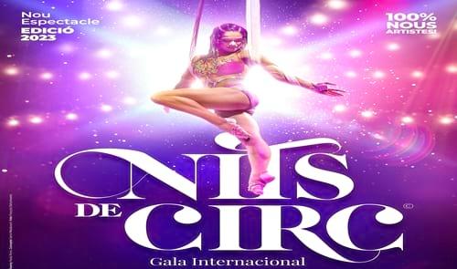 Imatge del contingut Nits de Circ