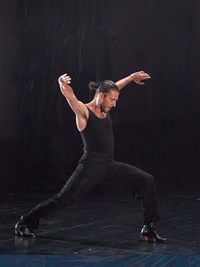 Dansa Metropolitana 2025