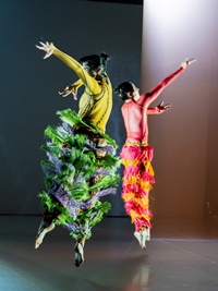 Dansa Metropolitana 2025