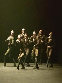 Dansa Metropolitana 2025