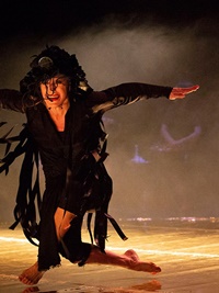 Dansa Metropolitana 2025