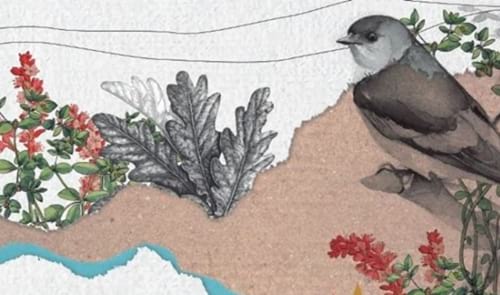 Guia Maresme 2018: Singularitats naturals del Maresme