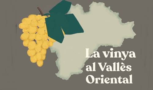 La vinya al Vallès Oriental