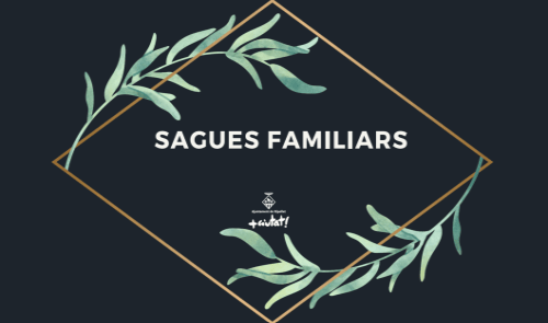 Sagues familiars