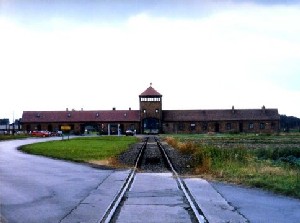 Els camps nazis