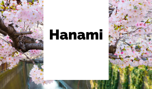 HANAMI. Tradició i cultura japonesa