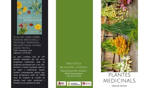 Plantes medicinals