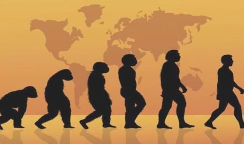 Evolucionisme versus Creacionisme