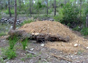El Parc Natural del Garraf: descobreix-lo!