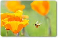 iStock © SumikoPhoto