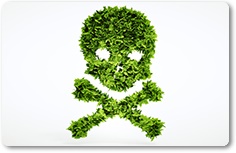 iStock ©
