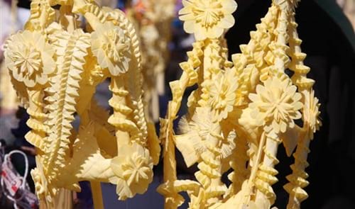 Imatge del contingut Palmes i palmons