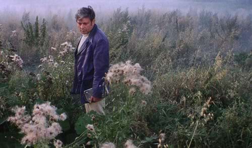 Imatge del contingut Poesia i cinema