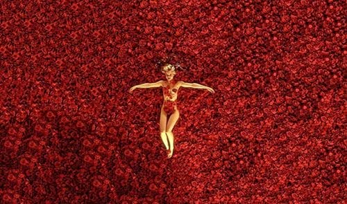 Imatge del contingut Rosa, rosae, rosam