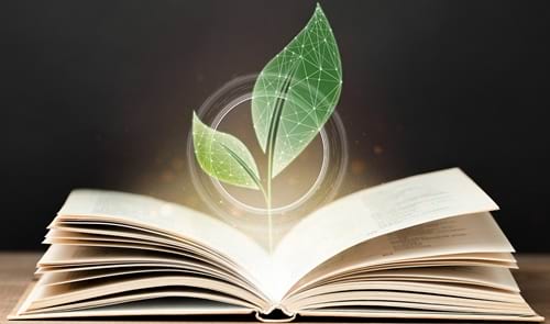 Imatge del contingut Una mirada cap a un món més sostenible